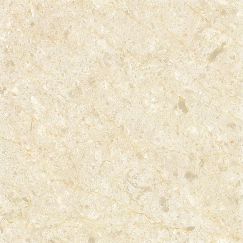 LS206