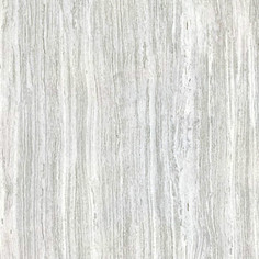 LS303